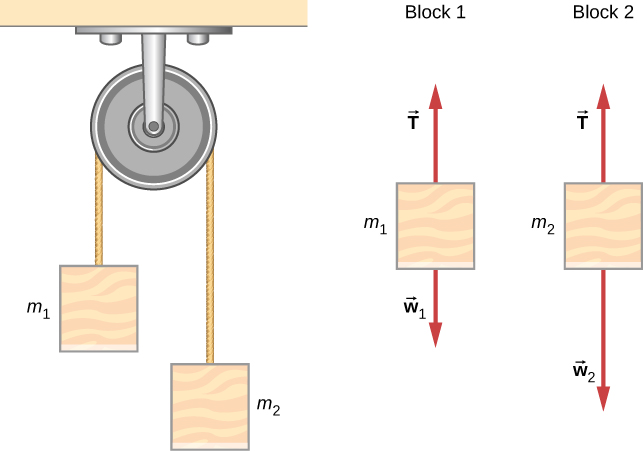 An Atwood machine consists of masses suspended on either side of a pulley by a string passing over the pulley. In the figure, mass m sub 1 is on the left and mass m sub 2 is on the right. The free body diagram of block one shows mass one with force vector T pointing vertically up and force vector w sub one pointing vertically down. The free body diagram of block two shows mass two with force vector T pointing vertically up and force vector w sub two pointing vertically down.