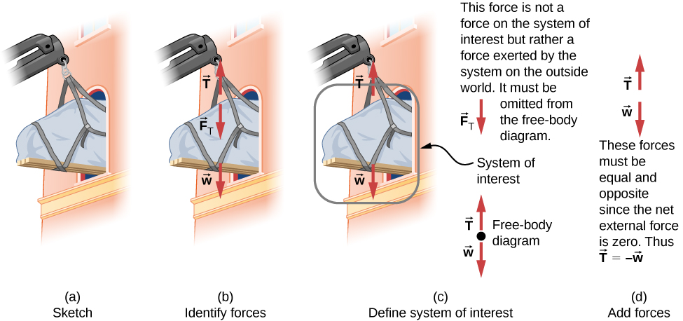 This figure shows the development of the free body diagram of a piano being lifted and passed through a window. Figure a is a sketch showing the piano hanging from a crane and part way through a window. Figure b identifies the forces. It shows the same sketch with the addition of the forces, represented as labeled vector arrows. Vector T points up, vector F sub T points down, vector w points down. Figure c defines the system of interest. The sketch is  shown again with the piano circled and identified as the system of interest. Only vectors T up and w down are included in this diagram. The downward force F sub T is not a force on the system of interest since it is exerted on the outside world. It must be omitted from the free body diagram. The free body diagram is shown as well. It consists of a dot, representing the system of interest, and the vectors T pointing up and w pointing down, with their tails at the dot. Figure d shows the addition of the forces. Vectors T and w are shown. We are told that these forces must be equal and opposite since the net external force is zero. Thus T is equal to minus w.