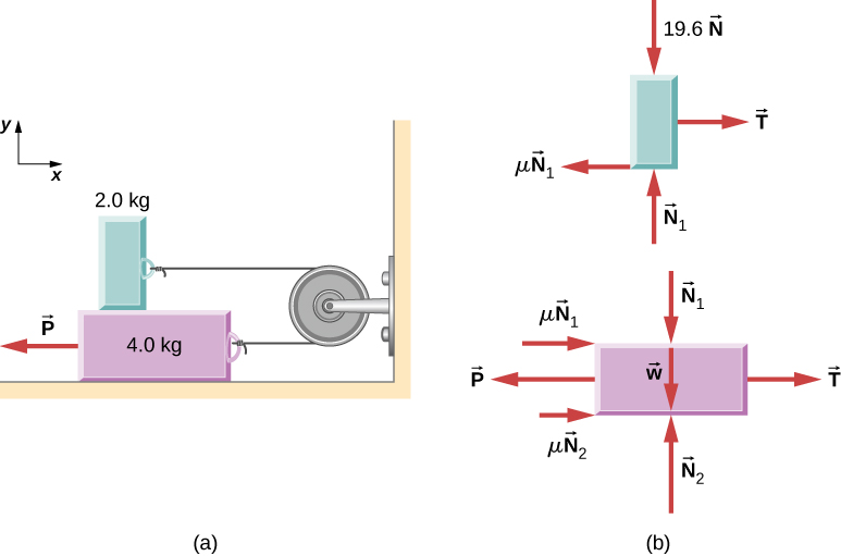 Figure (a) shows an illustration of a 4.0 kilogram block on a horizontal surface and a 2.0 kilogram block resting on top of it. A pulley is connected horizontally to a wall to the right of the blocks. The blocks are connected by a string that passes from one block, over the pulley, and to the other block so that the string is horizontal and to the right of each block. A force P pulls the lower block to the left. An x y coordinate system is shown, with positive x to the right and positive y up. Figure (b) shows the free body diagrams of the blocks. The upper block has forces mu times vector N sub 1 to the left, vector T to the right, 19.6 N vertically down, and vector N sub 1 up.  The lower block has forces mu times vector N sub 1 to the right, mu times vector N sub 2 to the right, Vector P to the left, vector T sub i to the right, Vector N sub 1 vertically down, weight w down, and vector N sub 2 up.