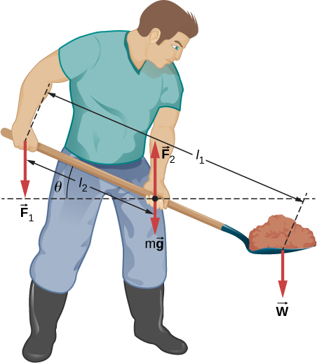 Figure shows a gardener lifting a shovel full of ground with both hands. Force F1 is applied to the back hand. Force F2 is applied to front hand. Force w is applied to the front of shovel with ground. Distance between the back hand and front of shovel is l1. Distance between the back and front hands is l2. Angle between the shovel and line parallel to the ground is theta.