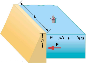 Figure is a schematic drawing of a dam with length L and height h erected on the river. There is a small canoe in the river with a single passenger. The formulas F equals p times A, and p equals h times p times g are included in this illustration.