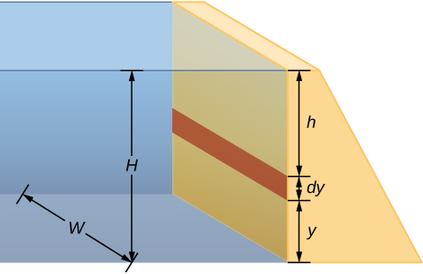 Figure is a schematic drawing of a dam of height H and width w used to hold back a river. Region of the damn labeled as dy is located at the height y from the bottom of the dam and the height h below the level of water.