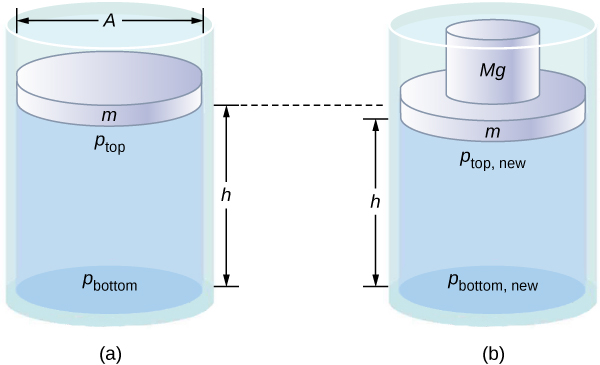 Figure A is a schematic drawing of a cylinder filled with fluid and opened to the atmosphere on one side. A disk of mass m and surface area A identical to the surface area of the cylinder is placed in the container. Distance between the disk and the bottom of the cylinder is h. Figure B is a schematic drawing of the cylinder with an additional disk of mass Mg placed atop mass m causing mass m to move lower.