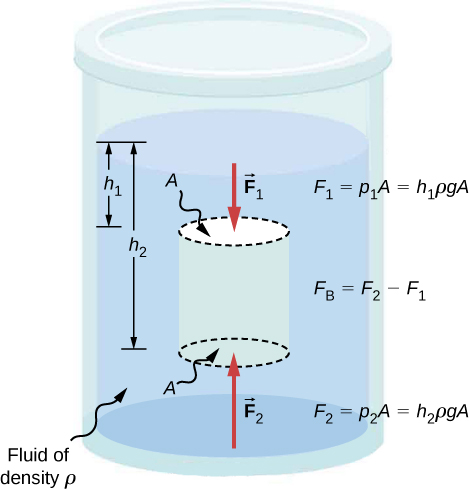 Figure is a schematic drawing of the cylinder filled with fluid and opened to the atmosphere on one side. An imaginary object with the surface area A, that is smaller than the surface area of the cylinder, is submerged into the fluid. Distance between the top of the fluid and the top of the object is h1. Distance between the top of the fluid and the bottom of the object is h2. Forces F1 and F2 are applied to the top and the bottom of the object, respectively.