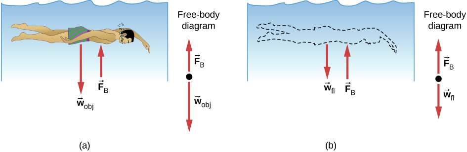 Figure A is a drawing of a person submerged in water. Force wobj is expressed by the person, force Fb is applied by the water to the person. Figure B is a drawing in which the person is replaced by water. Now Force wfl is expressed by the water that replaced the person, force Fb remains the same.