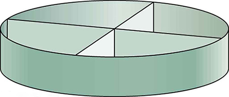 Figure is the schematic drawing of device that aligns the water into streams. Device has a circular shape and is separated into four segments.