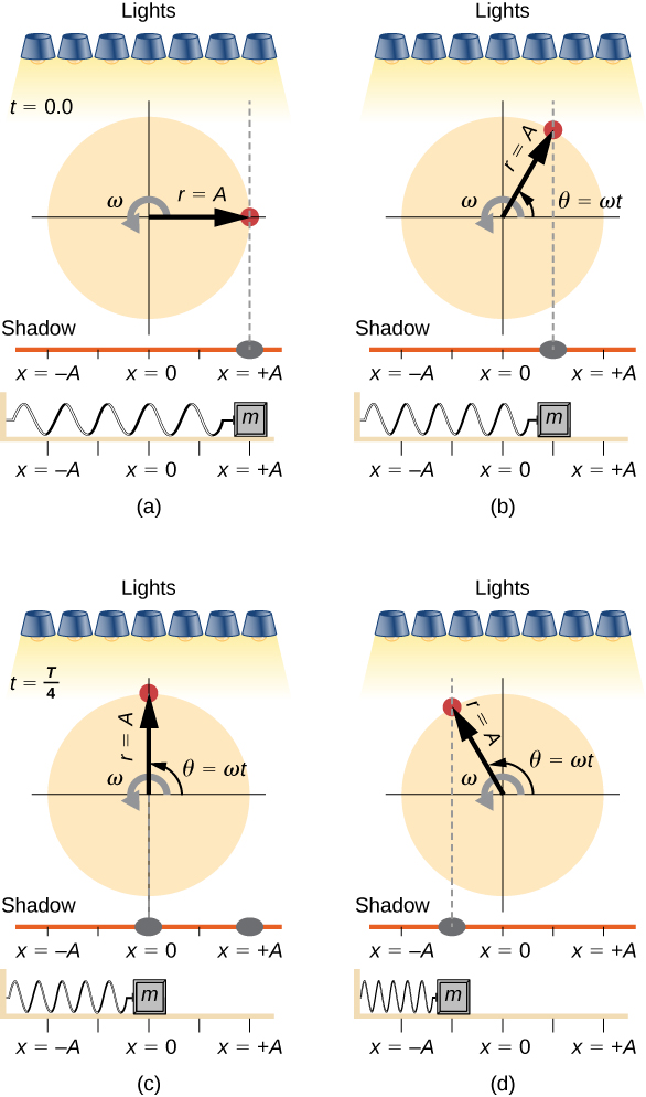 A comparison of the angular location of a peg on a rotating disk, the position of its shadow, and the position of a mass oscillating on a horizontal spring. In each figure, the peg is illuminated from above by a set of lights, casting a shadow on a horizontal line. The disk has radius r = A and rotates counterclockwise with angular velocity omega. The angular position of the peg, theta, is zero when the peg is directly to the right of the center of the disk. The spring is attached to a wall on the left and a mass on the right. The position of the mass and the shadow is x, where x=0 is directly below the center of the disk , x=-A is directly below the left edge of the disk, and x=+A is directly below the right edge of the disk. In figure a, t=0.0. The peg is directly to the right of the center of the disk. Its shadow and the mass are both at x = +A. In figure b, the peg is at angle theta equals omega t, in the first quadrant. Its shadow and the mass are both directly below the peg at what appears to be x = +A/2. The time is not specified. In figure c, t=T/4. The peg is directly above the center of the disk. Its angular position theta equals omega t. Its shadow and the mass are both at x =0. In figure d, the peg is at angle theta equals omega t, now in the second quadrant. Its shadow and the mass are both directly below the peg at what appears to be x = -A/2. The time is not specified.