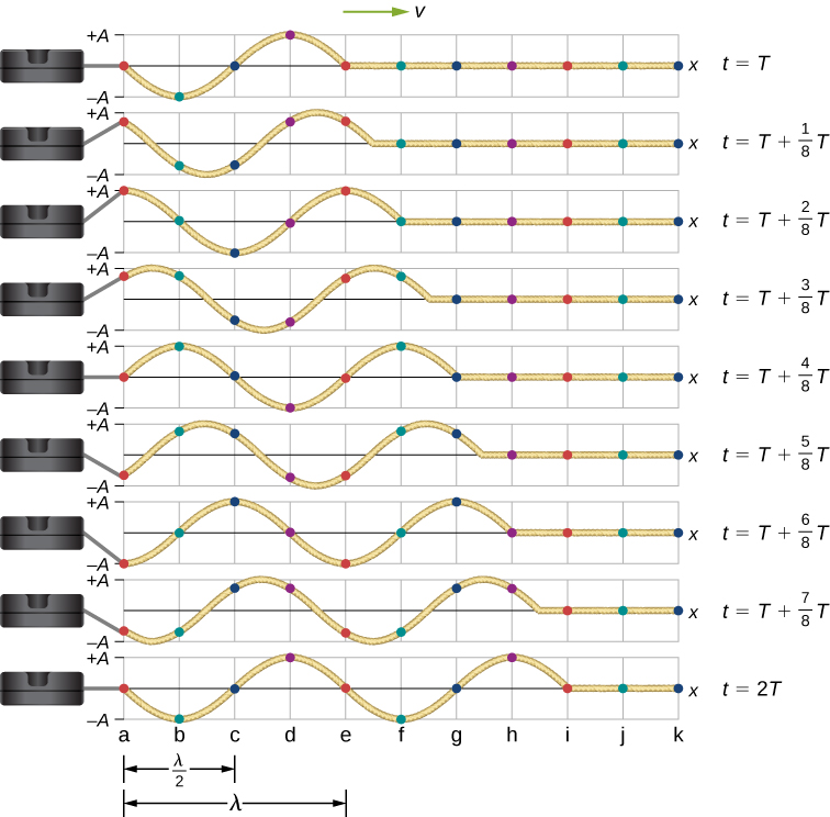 Figure shows different stages of a transverse wave propagating towards the right, taken at intervals of 1 by 8 T. Dots mark points on the wave. These move up and down from – A to +A. A dot that is at the equilibrium position at time t=T, moves to +A at time t=T plus 2 by 8 T. It then moves back to the equilibrium position at time t= T plus 4 by 8 T. It moves to –A at time t=T plus 6 by 8 T and back to the equilibrium position at time t=2T. Similarly, all dots move to their original positions at time t=2T.