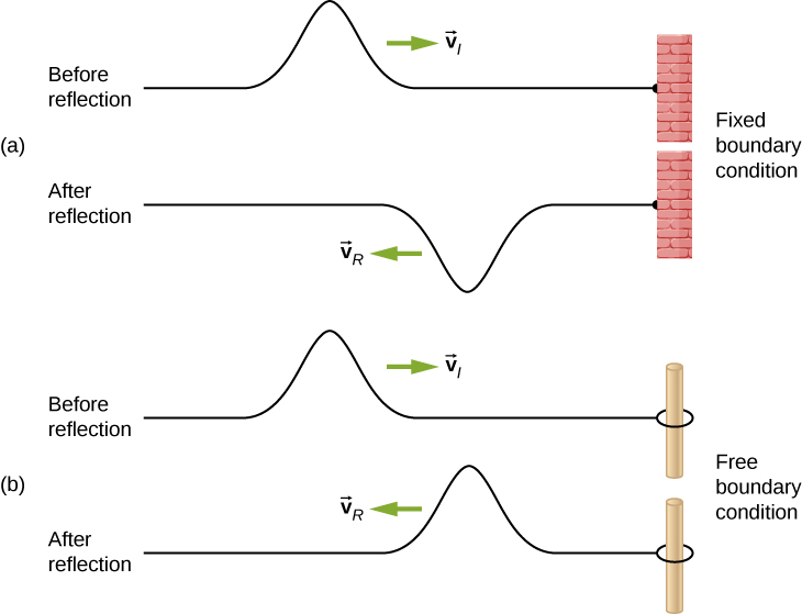 Figure a shows two figures of a string attached to a rigid support at the right. The top string is labeled before reflection. A pulse formed at the top of the string propagates towards the right with velocity v subscript i. The bottom string is labeled after reflection. A pulse formed at the bottom of the string propagates towards the left with velocity v subscript R. Figure b shows two figures of a string attached to a ring that is passed through a pole on the right. The top string is labeled before reflection. A pulse formed at the top of the string propagates towards the right with velocity v subscript i. The bottom string is labeled after reflection. A pulse formed at the top of the string propagates towards the left with velocity v subscript R.