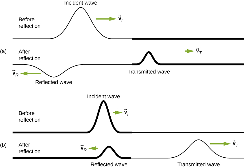 Figure a shows two strings, the top one labeled before reflection and the bottom one labeled after reflection. The top string has a pulse labeled incident wave, which propagates to the right with velocity v subscript i. The bottom string has two pulses. The one on the left is labeled transmitted wave. This propagates to the right with velocity v subscript T. The wave on the left is labeled reflected wave. It moves to the left with velocity v subscript R. It has a smaller amplitude from the incident wave and is upside down. Figure b shows two strings, the top one labeled before reflection and the bottom one labeled after reflection. The top string has a pulse labeled incident wave, which propagates to the right with velocity v subscript i. The bottom string has two pulses. The one on the left is labeled transmitted wave and the one on the right is labeled reflected wave. Both are formed at the top of the string.