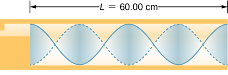 Picture is a diagram of the wave in the 60 centimeter long tube. There are two wavelengths in a tube. The maximum air displacements are at the ends of the tube.