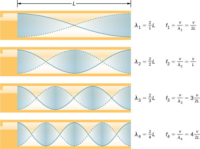 Picture is a diagram of the fundamental and three lowest overtones for a tube closed at one end. Fundamental has half of its wavelength in a tube. First overtone has one of its wavelength in a tube, second overtone has one and a half of its wavelength in a tube, third overtone has two of its wavelength in a tube. All have maximum air displacements at both ends of a tube.