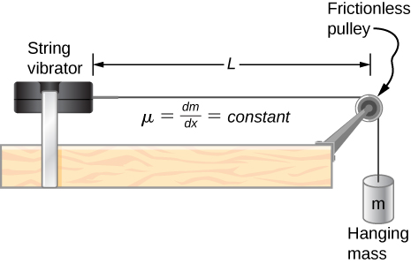 Picture shows a string vibrator connected to a frictionless pulley with a hanging mass of m. The distance of the string connecting the vibrator to the pulley is L.