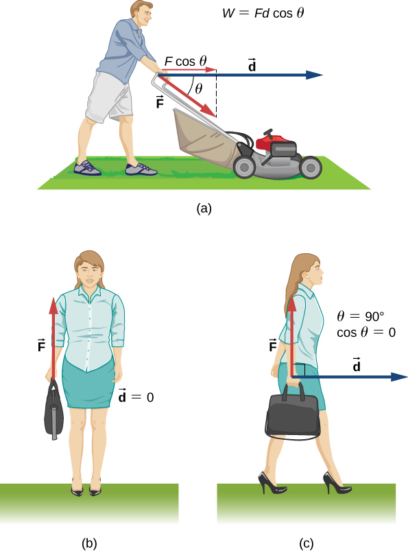 Figure a shows a person pushing a lawn mower with a constant force. The displacement is a horizontal vector d pointing to the right. The force F is a vector pointing down and to the right, along the handle of the lawn mower, at an angle theta below the horizontal. The component of the force parallel to the displacement is F cosine theta. The equation W equals F d cosine theta is shown in the figure. Figure b shows a person holding a briefcase. The force F is upward. The displacement is zero. Figure c shows the person in b walking horizontally while holding the briefcase. The force F is upward, as in b. The displacement d is horizontal to the right. Theta equals ninety degrees and cosine theta equals zero.