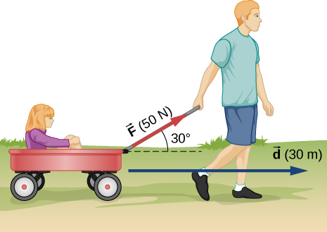 A person is pulling a wagon with a girl in it. The person is pulling with force vector F of 50 Newtons at an angle of 30 degrees to the horizontal. The displacement is a vector d of 30 meters.