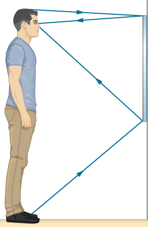 The figure is a drawing of a man standing in front of a mirror and looking at his image. The mirror is about half as tall as the man, with the top of the mirror above his eyes but below the top of his head.  The light rays from his feet reach the bottom of the mirror and reflect to his eyes. The rays from the top of his head reach the top of the mirror and reflect to his eyes.