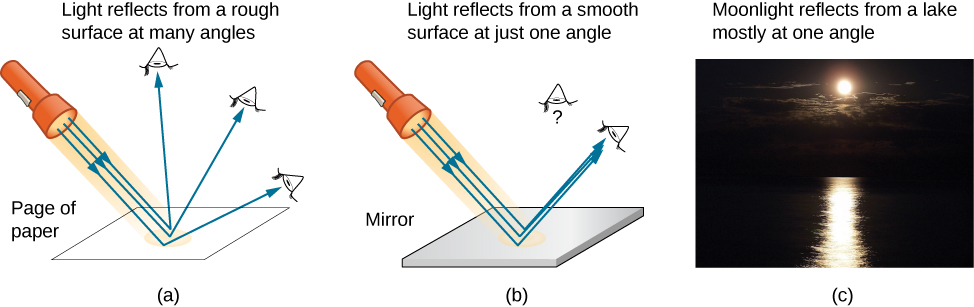 Figure a shows the rays of light from a flashlight falling on a page of paper. The light gets reflected at many angles as the surface is rough. Reflected light reaches eyes placed at many location. Figure b shows the rays of light from a flashlight falling on mirror. All of the light gets reflected at the same angle since the surface is smooth. Reflected light only reaches an eye placed so that the reflected beam hits it. An observer not at the angle of the reflected light does not see it. Figure c shows a photograph of moonlight falling on a lake. The lake’s shiny surface reflects it. A bright , slightly rippled strip of moonlight is seen reflecting from the lake on a dark background.