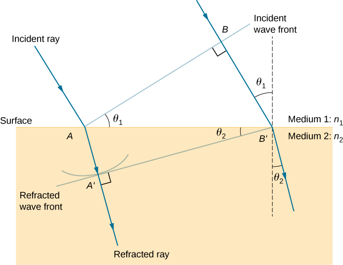 This figure illustrates the geometry of the refraction of the rays and wave fronts. A horizontal surface is present between medium 1, with index of refraction n 1, and medium 2, with index of refraction n 2. An incident ray is shown coming in from medium 1 into medium 2. It hits the surface at point A and refracts toward the normal in medium 2.  A line, labeled incident wave front, is drawn from point A extending away from the surface, perpendicular to the incident ray. The angle between the incident wave front and the surface is theta 1. A second incident ray is drawn parallel to the first one. This ray intersects the incident wave front at a point labeled as B and hits the surface at a point labeled as B prime. A dashed line is drawn perpendicular to the surface at B prime. The angle between this perpendicular line and the second ray is also theta one.  The triangle formed by A, B, and B prime is a right triangle with angle theta one at A and a right angle at B. The refracted rays at A and B prime bend down, toward the downward perpendiculars to the surface, making an angle of theta two with the vertical direction.  The refracted wave front that is perpendicular to the refracted rays and that hits the surface at B prime is drawn. This wave front hits the refraction of the first incident ray at a point marked A prime and makes an angle of theta two with the surface.