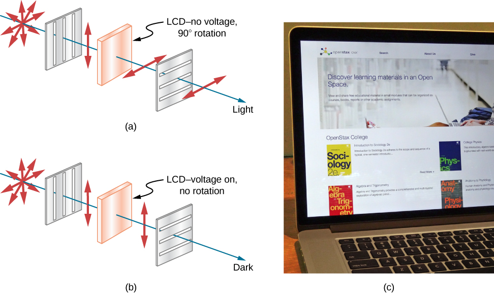 Figure a is an illustration of a ray of initially unpolarized light going through a vertical polarizer, then an element labeled L C D no voltage ninety degree rotation, and finally a horizontal polarizer. The initially unpolarized light becomes vertically polarized after the vertical polarizer, then is rotated ninety degrees by the L C D element so that it is horizontally polarized, then it passes through the horizontal polarizer. Figure b is the same except that the L C D element is labeled voltage on, no rotation. The light coming out of the L C D element is thus vertically polarized and does not pass through the horizontal polarizer, making the region at this location dark. Finally, in figure c, a photograph is shown of a laptop computer that is open so that you can see its screen, which is on and has some icons and windows visible.