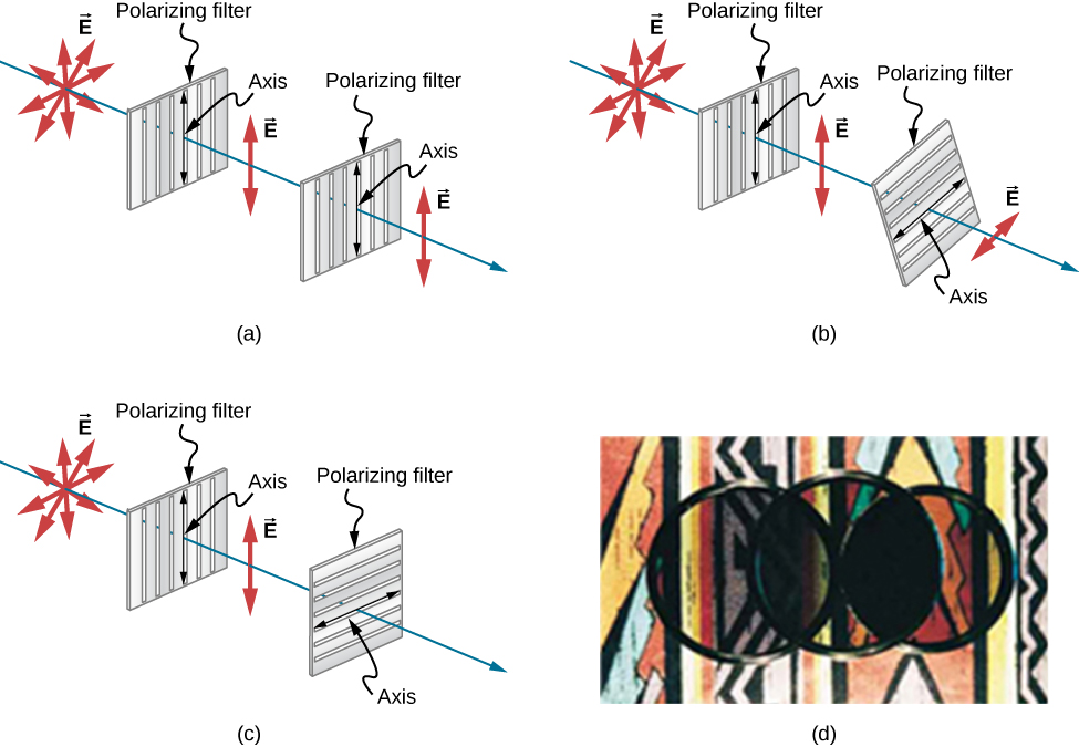 This figure shows three illustrations of randomly polarized light passing through two polarizing filters, one after the other, in various orientations. In figure a, the two filters have axes oriented parallel to each other, in b the axis of the second filter is at an intermediate angle, between zero and ninety degrees, to the first’s, and in c the axis of the second filter is perpendicular to the first’s. Figure d is a photograph of the actual result of the first (parallel) and last (perpendicular) arrangements. In all the arrangements, the source light is randomly polarized, indicated by vector E arrows pointing in every direction in a plane perpendicular to the direction of propagation of the ray. In all the arrangements, the light that passed through the first filter, whose axis is oriented vertically, is vertically polarized, indicated by E vector arrows that only point vertically up and down. In figure a, all of the polarized light is passed by the second polarizing filter,  whose axis is parallel to the first, and is still vertically polarized. In figure b, only some of the light is passed by the second polarizing filter,  whose axis is tilted relative to the first. The light that passed the second filter is polarized in the direction of the second filter’s axis, and the magnitude of E is reduced. In figure c, where the filter axes are perpendicular to each other, none of the light passes through the second filter. Figure c shows a photo of three circular optical filters placed over a bright colorful pattern. Two of these filters are place next to each other and the third is placed on top of the other two so that the center of the third is at the point where the edges of the two filters underneath touch. Some light passes through where the upper filter overlaps the left-hand underneath filter. No light passes through where the upper filter overlaps the right-hand lower filter.