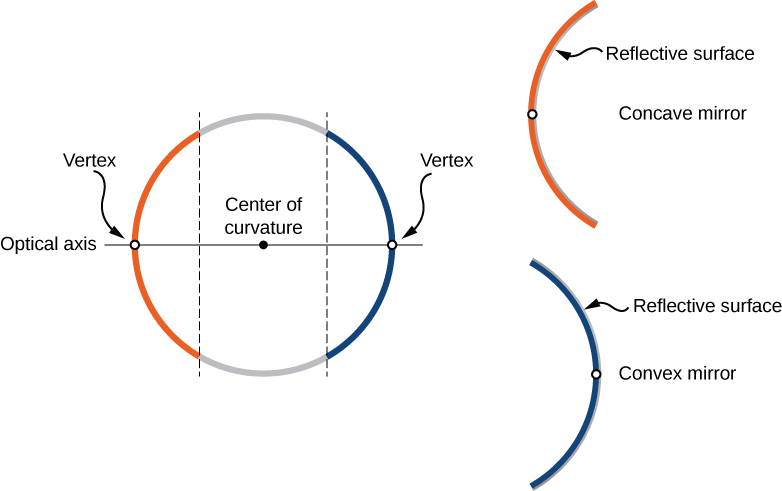 Figure a shows a circle, divided by two parallel lines, forming two arcs, orange and blue. A line labeled optical axis runs through the center of the circle, intersecting it at the mid-points of both arcs. Each mid-point is labeled vertex. Figure b shows the orange arc, labeled concave mirror, with the reflective surface shown on the inside. Figure c shows the blue arc, labeled convex mirror, with the reflective surface shown on the outside.