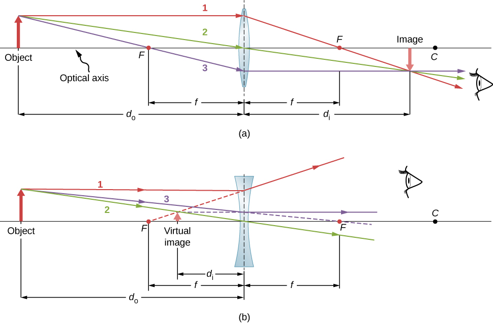 Figure a shows a bi-convex lens with focal points on both sides. An object is placed on its optical axis. Three rays originate from the top of this object and enter the lens. Ray 1 is parallel to the optical axis. Ray 2 strikes the center of the lens. Ray 3 crosses the focal point before entering the lens. The rays converge on the other side to form an image. Ray 1 crosses the focal point and ray 3 is now parallel to the axis. Figure b shows a bi-concave lens with focal points on both sides. An object is placed on its optical axis. Three rays originate from the top of this object and enter the lens. Ray 1 is parallel to the axis, ray 2 strikes the center of the lens and ray 3, if extended in a straight line would cross the focal point on the other side of the lens. All three rays diverge on the other side of the lens. Ray 3 is now parallel to the axis and the back extension of ray 1 crosses the focal point in front of the lens. The back extensions of all three rays converge to form a virtual image, that is much smaller than the object, in front of the lens.