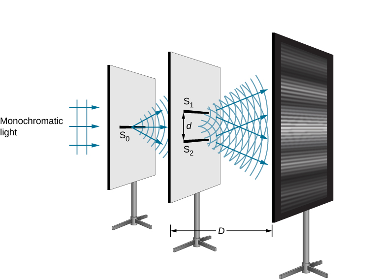 Picture is a schematic drawing of the double-slit experiment. Monochromatic light first travels through the narrow slit S0. Next is travels through the two slits S1 and S2 positioned one on a top of another and separated by the distance d. Finally, light reaches the screen where the interference pattern is formed. Distance between the double-slit screen and the final screen is D.