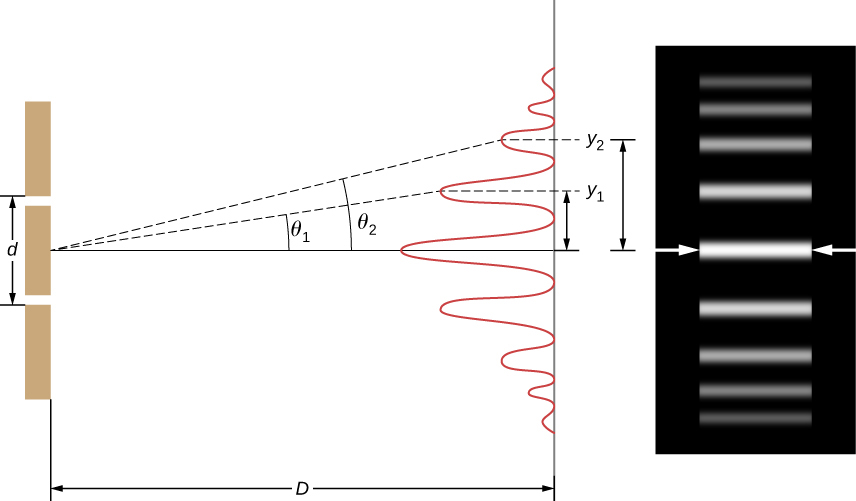 Left picture shows a double slit located a distance D from a screen, with the distance between the slits given as d. Right picture is a photograph of the fringe pattern that shows the bright lines at the positions where the waves interfere constructively.