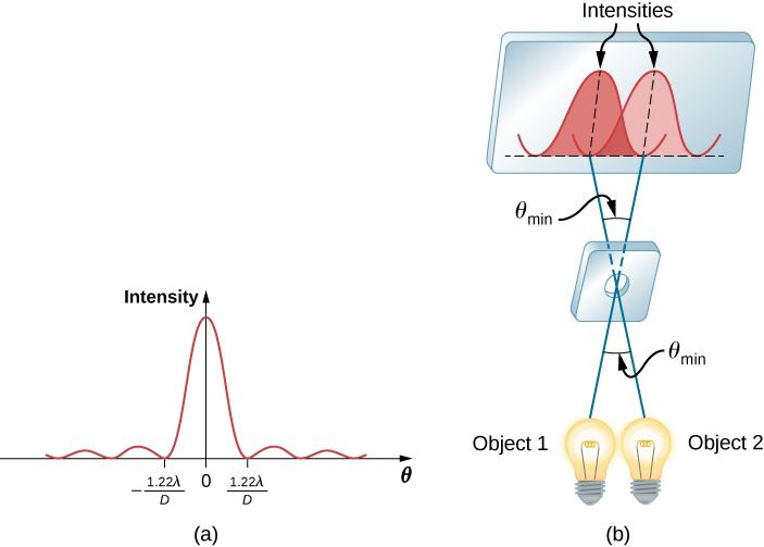 Figure a shows a graph of intensity versus theta. It has a crest in the center and zeroes at plus and minus 1.22 lambda by D. Figure b shows two bulbs placed side by side. These are labeled object 1 and object 2. A ray from each crosses the other passing through a hole in a block at the point of intersection. They form an angle theta subscript min with each other. The rays fall on a screen on the other side. Their intensities are shown on the screen as waves. The crest of one corresponds with the zero of the other.