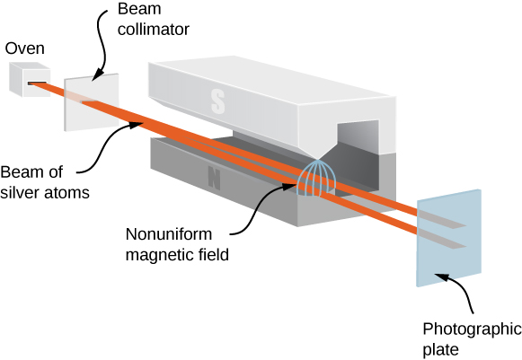 The figure shows an illustration of a Stern Gerlach experiment. A beam of silver atoms leaves an oven and is collimated as it passes through a slit. The collimated beam enters a magnet. As it passes between the poles of the magnet, the nonuniform magnetic field causes the beam to split in two. One part moves in the direction of the north pole, the other in the direction of the south pole. The two beams exit the magnet and hit a photographic plate in two distinct places.