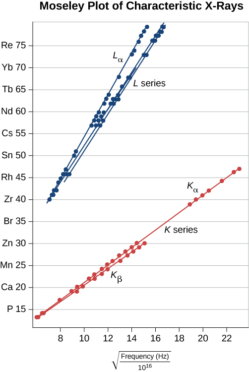 The Moseley plot of characteristic X rays shows a plot of the atomic number as a function of the square root of the frequencies in Hertz divided by 10 to the 16. The vertical scale goes from 0 to 80 and labels the elements whose atomic number are a multiple of 5: P, C a, M n, Z n, B r, Z r, R h, S n, C s, N d, T b, Y b, and R e. The horizontal scale goes from 0 to 24. The data falls along several straight lines, corresponding to the series. The L series, in blue, lies above the K series, in red and all the L lines are steeper than the K lines. The L sub alpha series has the steepest slope of the L series. Two K series curves are shown, with the K sub alpha slope slightly steeper than the K sub beta slope.