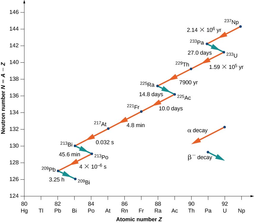 A graph of neutron number N = A – Z versus atomic number Z is shown. Alpha decay is shown by red arrows pointing downward left, thus showing decrease in both N and Z. Beta decay is shown by blue arrows pointing downward right, indicating a decrease in N and increase in Z. The decay is shown as follows: Alpha decay from 237 Np to 233 Pa in 2.14 into 10 to the power 6 years. Beta decay from 233 Pa to 233 U in 27 days. Alpha decay from 233 U to 229 Th in 1.59 into 10 to the power 5 years and from 229 Th to 225 Ra in 7900 years. Beta decay from 225 Ra to 225 Ac in 14.8 days. Alpha decay from 225 Ac to 221 Fr in 10 days, from 221 Fr to 217 At in 4.8 minutes and from 217 At to 213 Bi in 0.032 seconds. Beta decay from 213 Bi to 213 Po in 45.6 minutes. Alpha decay from 213 Po to 209 Pb in 4 into 10 to the power minus 6 seconds. Beta decay from 209 Pb to 209 Bi in 3.25 hours.