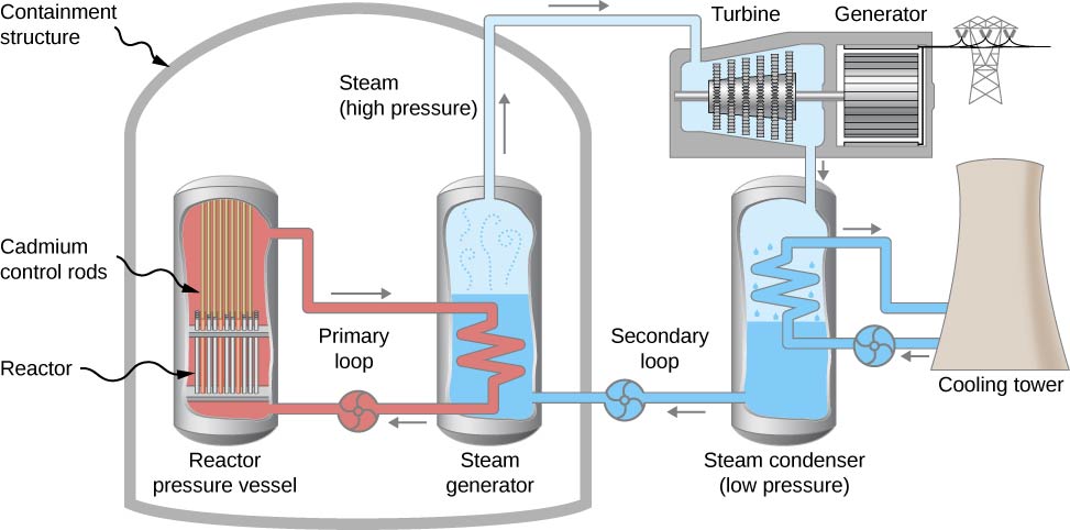 A closed structure labeled containment structure has two vessels inside it, a reactor pressure vessel and a steam generator. The former contains cadmium control rods at the top and a reactor at the bottom. A closed loop labeled primary loop runs from the top to the bottom of the vessel. Part of this loop is within the second vessel, steam generator. This is filled with water and steam. A second closed loop labeled secondary loop runs from the steam generator to outside the containment structure and back in. Outside the structure, it passes through first a turbine and then a steam condenser. The turbine is attached to an electric generator. A closed loop runs from the steam condenser, through a cooling tower and back in.