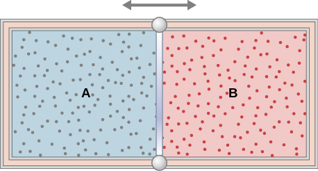 The figure is an illustration of a container with a partition in the middle dividing it into two chambers.  A double headed horizontal arrow above the partition indicates that it is moveable The outer walls are insulated. The chamber on the left is labeled with an A, and is full of one gas, indicated by blue shading and many small dots representing the gas molecules. The right chamber is labeled with a B, and is full of a second gas, indicated by red shading and many small dots representing the gas molecules.