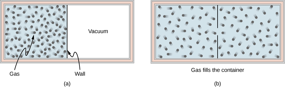 Part a of the figure shows a container which has gas in the left half and vacuum in the right half. Part b shows a container which is completely filled with gas.