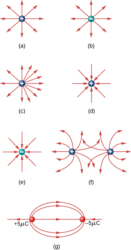 Figure a shows field lines pointing away from a positive charge. The lines are uniformly distributed around the charge. Figure b shows field lines pointing away from a negative charge. The lines are uniformly distributed around the charge. Figure c shows field lines pointing away from a positive charge. The lines are denser on the right side of the charge than on the left. Figure d shows field lines pointing toward a positive charge. The lines are uniformly distributed around the charge. Figure e shows field lines pointing toward a negative charge. The lines are uniformly distributed around the charge. Figure f shows two positive charges. Field lines start at each positive charge and point away from each. The lines are uniformly distributed at the charges and bend away from the midline. Some lines intersect each other. Figure g shows a positive 5 micro Coulomb charge and a negative micro Coulomb charge. Several field lines are shown. Long the line connecting the charges is a field line that points away from the positive charge and toward the negative one. Another field line forms an ellipse that starts at the positive charge and ends at the negative charge. Another field line also forms an ellipse that points away from the positive and ends at the negative charge but appears to envelop the charges rather than start and end at the charges.