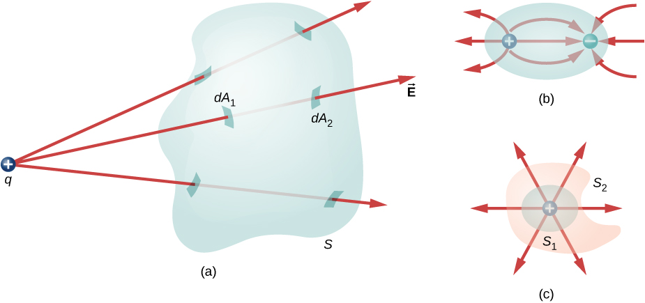 Figure a shows an irregular 3 dimensional shape labeled S. A small circle with a plus sign, labeled q is outside it. Three arrows labeled vector E originate from q and pass through S. The patches where the arrows pierce the surface of S are highlighted. The patch where one arrow enters the shape is labeled dA1 and the patch where the arrow emerges from the shape is labeled dA2. Figure b shows an oval with two small circles inside it. These are labeled plus and minus. Three arrow from outside the oval point to the circle labeled minus. Three arrows point from plus to minus. Three arrows point from plus to outside the oval. Figure c has an irregular shape labeled S2. Within it is a circle named S1. At its center is a small circle labeled plus. Six arrows radiate outward from here in different directions.