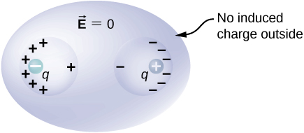 Figure shows a flattened sphere, labeled vector E equal to zero. It has two spherical cavities within it. Its outer surface of the flattened sphere is labeled no induced charge outside. The left cavity has a negative charge q inside it, on the left. The left surface of this cavity has many plus signs on it and the right surface has a single plus sign on it. The right cavity has a positive charge q inside it, on the right. The right surface of this cavity has many minus signs on it and the left surface has a single minus sign on it.