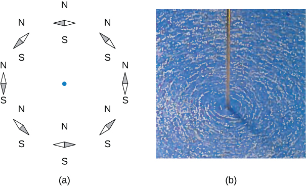 Figure A shows a circle formed by the small compass needles aligned with Earth’s magnetic field. Figure B shows that iron filings sprinkled on a horizontal surface around a long wire delineate the field lines.