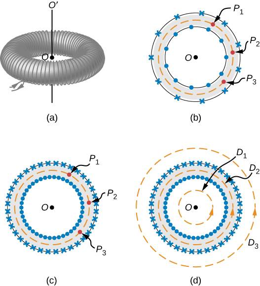 Figure A shows a toroid that is a coil wound into a donut-shaped object. Figure B shows a loosely wound toroid that does not have cylindrical symmetry. Figure C shows a tightly wound toroid with the symmetry that is very close to the cylindrical. Figure D shows several paths. Paths D1 and D3 are external to the toroid. Path D2 lies within the toroid.