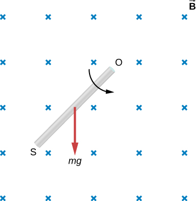 Figure shows a rod of length l that is located in the uniform magnetic field. The rod is rotated counterclockwise around the axis through O by the torque due to mg.