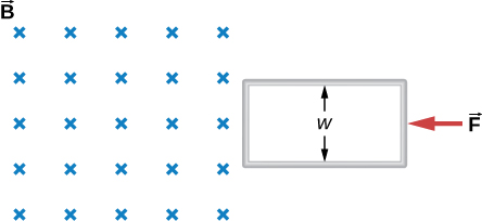 Figure shows a long rectangular loop of width w. The loop starts from rest at the edge of a uniform magnetic field and is pushed into the field by a constant force F.