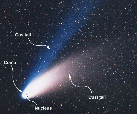 Figure shows a comet with a bright white part labeled nucleus. The part around this is labeled coma. Two tails radiate from here. They are labeled gas tail and dust tail.