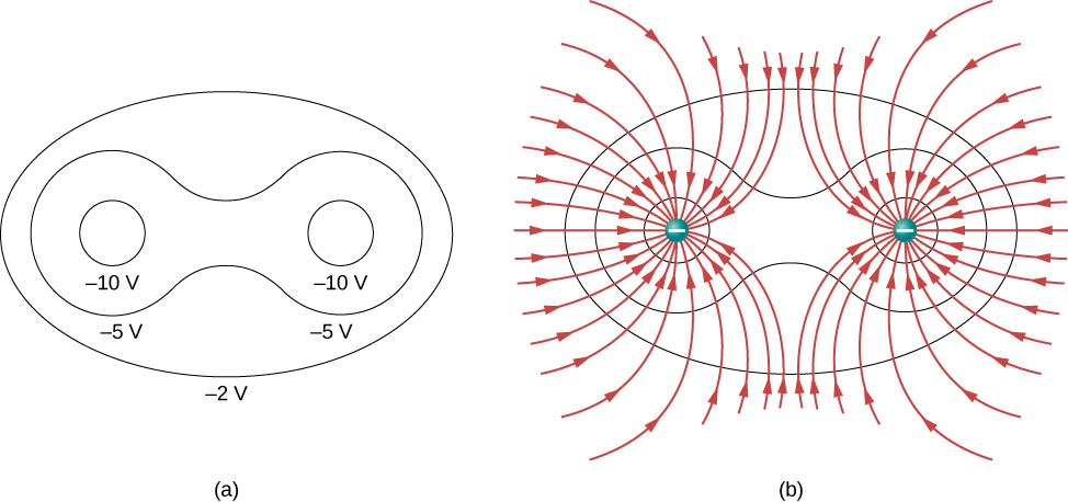 Part a shows equipotential lines around two charges and part b shows two negative charges and their electric field lines.