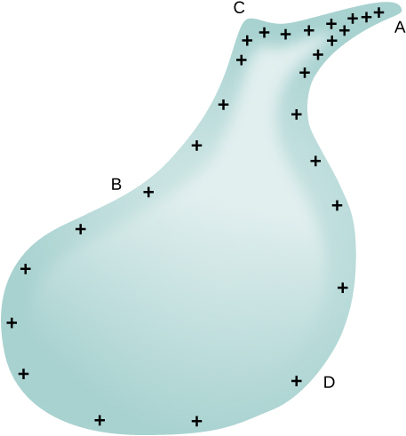 The figure shows electric charge densities are different regions of an asymmetrical surface.