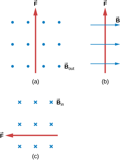 Case a: B is out of the page, F is up. Case b: B is to the right, F is up. Case c: B is into the page, F is to the right.