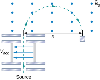 A schematic of the mass spectrometer. The source is at the bottom. Particles are accelerated by the potential difference V acc, then enter a region in which there is only a uniform magnetic field B naught. In that region, the particles follow a clockwise semicircular trajectory of diameter x.