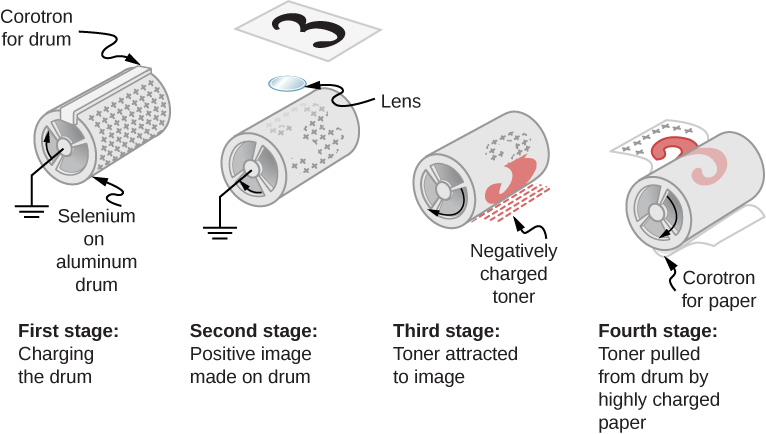 The figure illustrates the four stages of Xerography – charging the drum, positive image made on drum, toner attached to image and toner pulled from drum by highly charged paper.