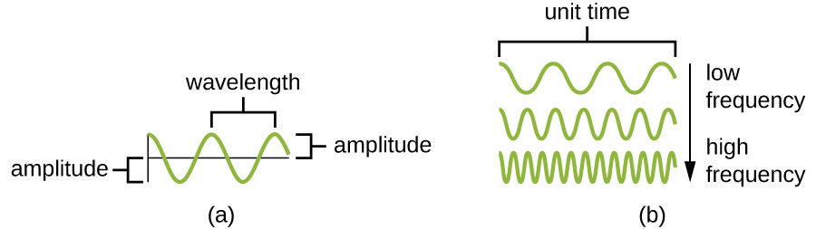 Figure a shows a wavy line with evenly repeating waves upwards and downwards. A straight line through the center of the wavy line indicates the base of the waves. The distance from the peak of one wave to another is the wavelength. The distance from the baseline to the peak of a wave or the distance from the baseline to the trough of a wave is called the amplitude. Figure b shows three waves with unit time labeled across the bottom. The top line has waves that are widely spread apart. Waves with a wide wavelength have a low frequency. The bottom line has waves that are close together. Waves with a narrow wavelength have a high frequency. The middle line has a medium wavelength and therefore a medium frequency.