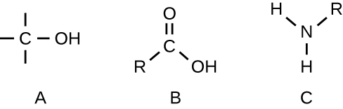 Figure A has a C bound to an OH. Figure B has a C double bonded to an O as well as a single bonded OH and R. Figure C has an N bound to an R and two Hs.